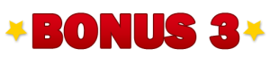 bonus-3-300x73